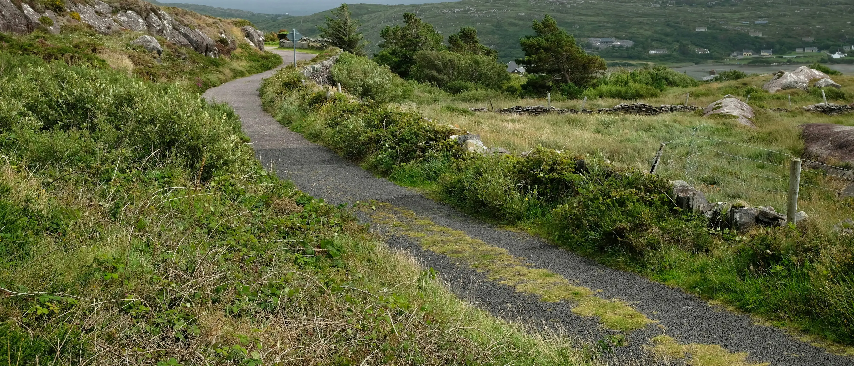 Ein Pfad windet sich durch grünes Hügelland auf einen Bergsattel zu.
