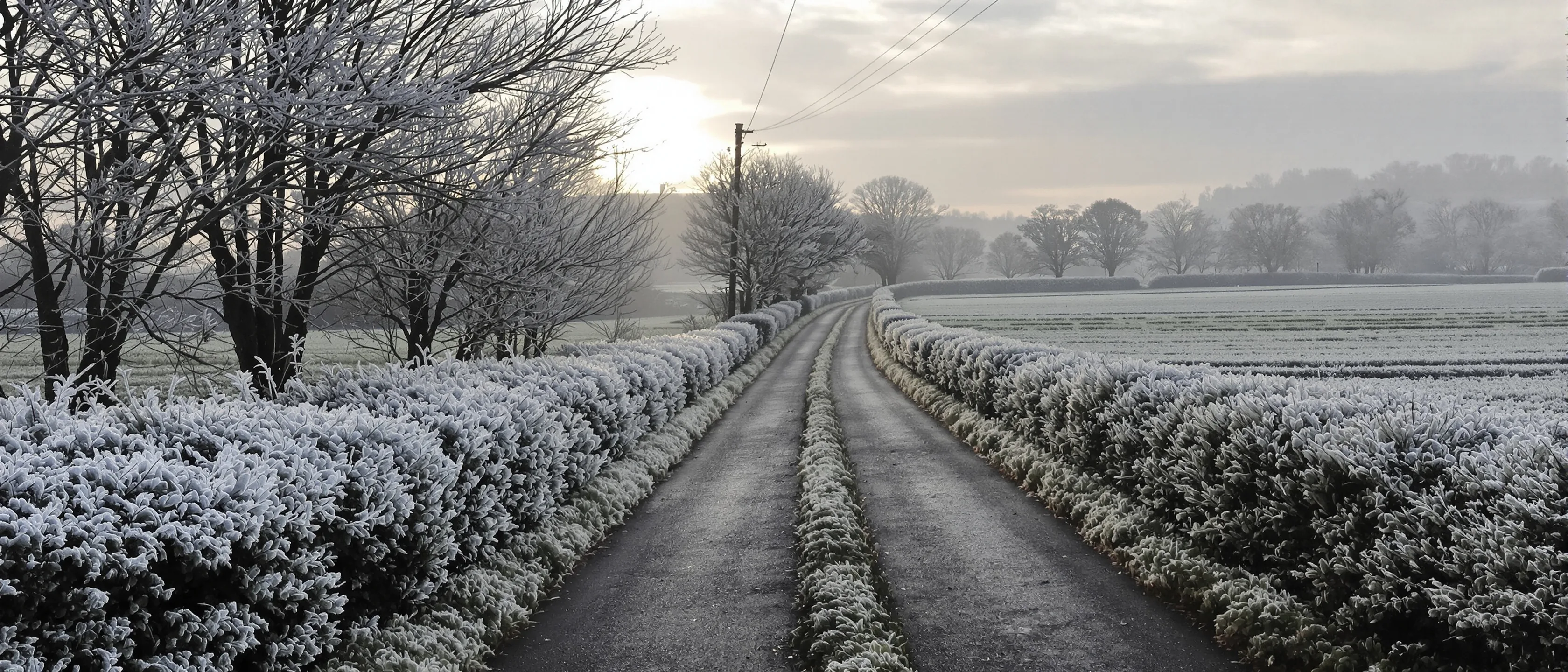 Eine schmale Landstraße im Raureif, die Hecken links und rechts weiß überzogen, kahle Bäume und eine blasse tief stehende Wintersonne über den Feldern.
