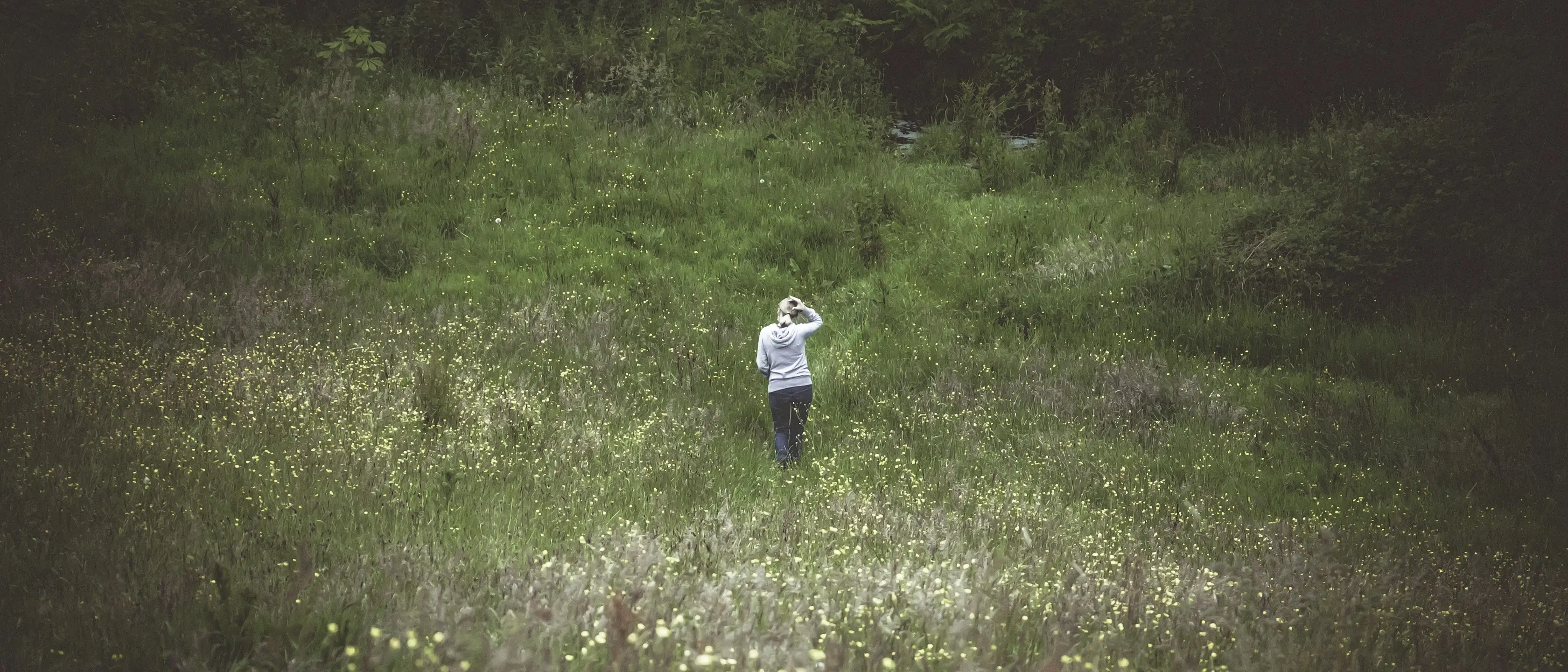 Ein Mensch steht klein in einer weiten, hellen Wiese.