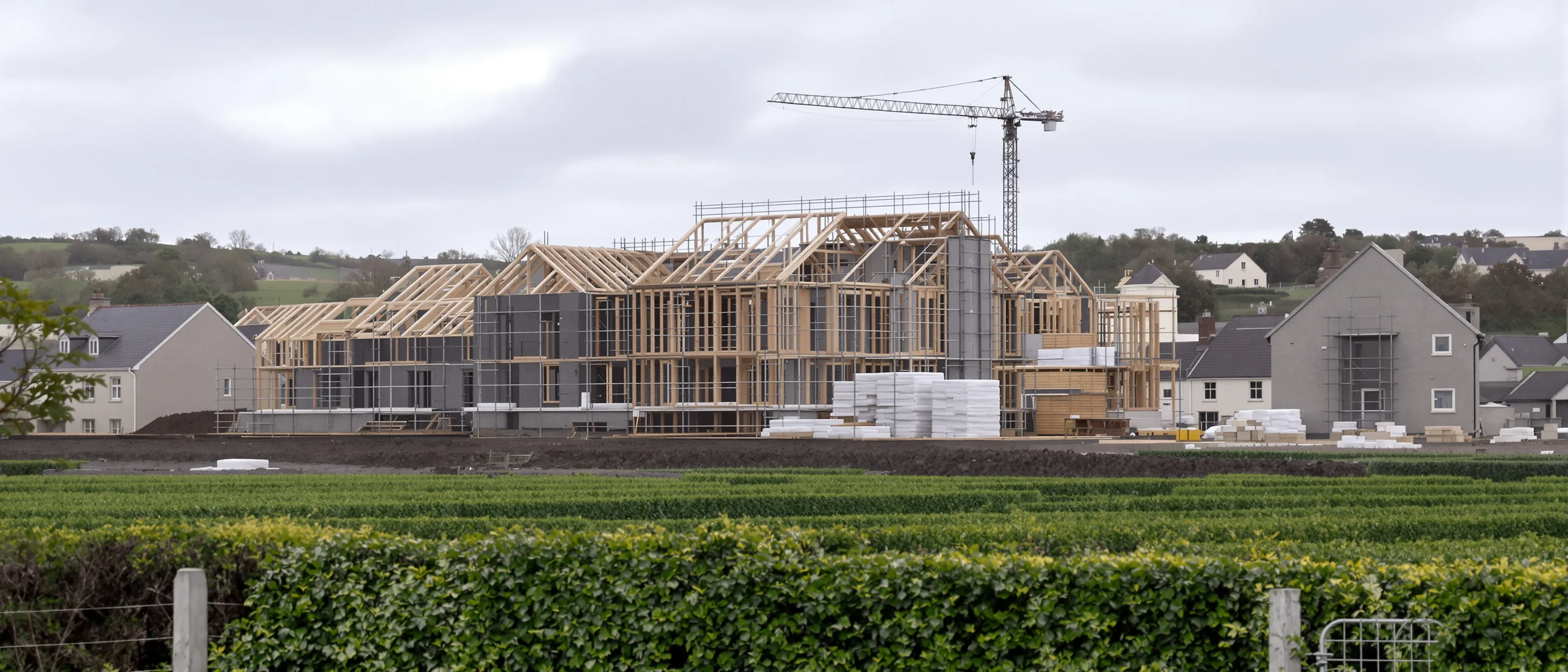 Eine Neubausiedlung am Ortsrand im Rohbau: offene Dachstühle aus Holz, Gerüste und ein Baukran, davor eine Hecke und ein grünes Feld.