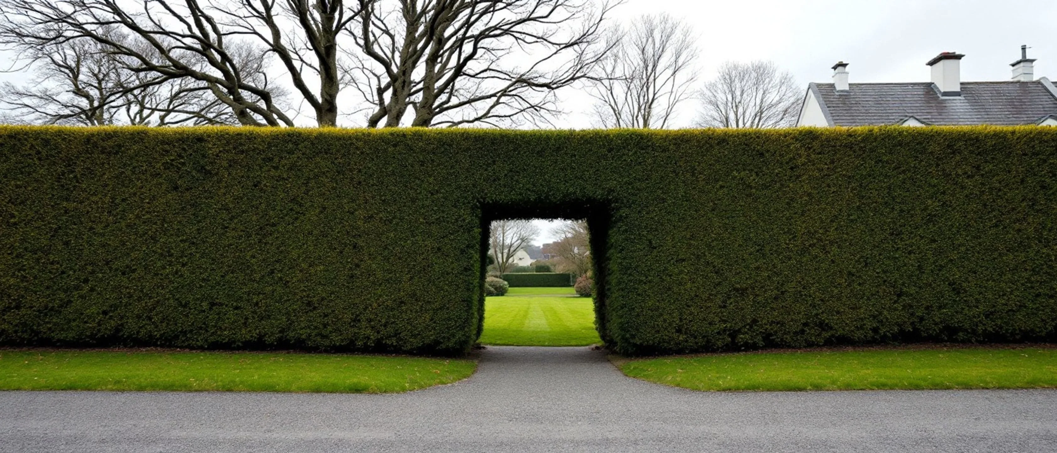 Eine hohe, geschnittene Hecke mit einem rechteckigen Durchgang auf einen Rasen dahinter, kahle Bäume darüber, ein Kiesweg davor.