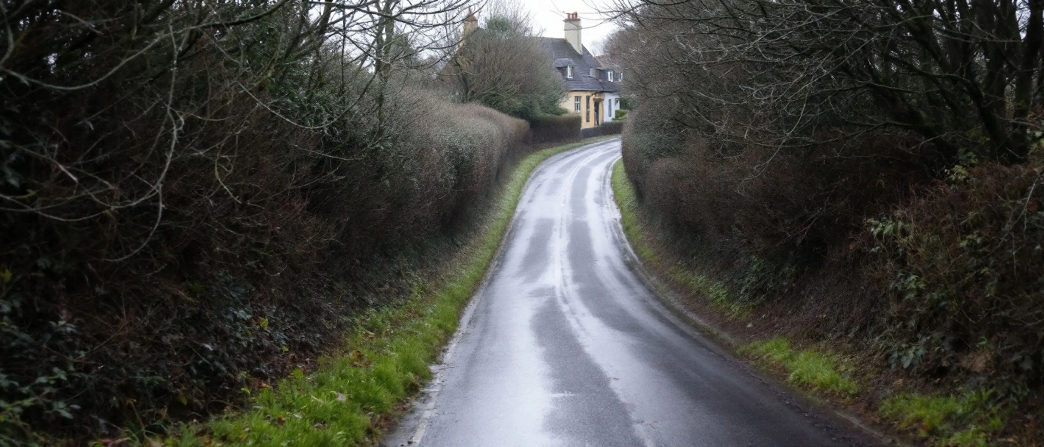 Ein enger Hohlweg zwischen hohen, dunklen Hecken, die Äste treffen sich fast über der nassen Fahrbahn, am Ende ein Haus mit Schieferdach.