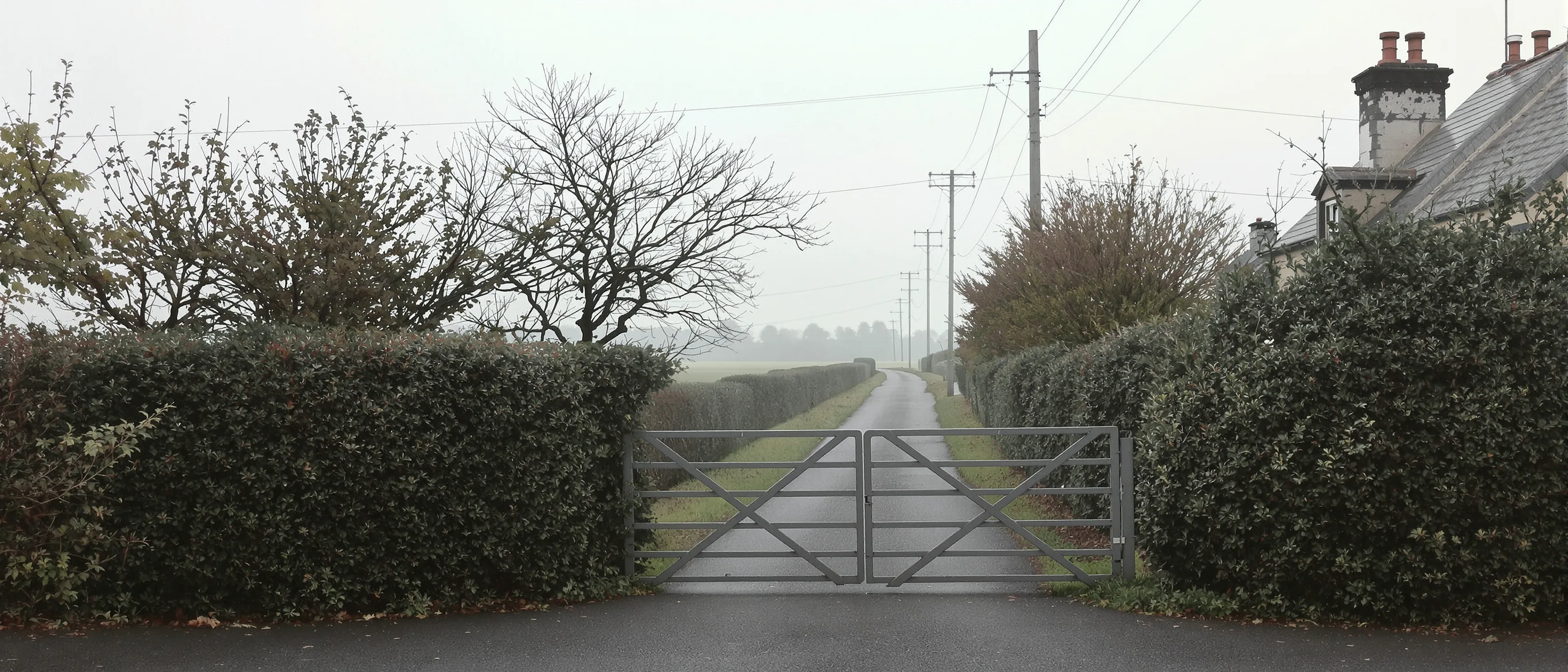 Ein graues Feldtor in einer hohen Hecke an einer stillen Landstraße, dünner Nebel über der Weide, Telegrafenmasten.