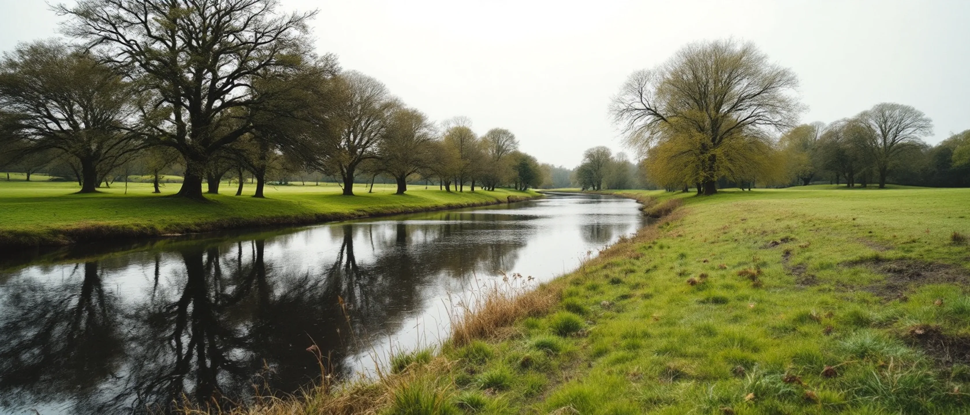 Ein ruhiger Fluss durch Parklandschaft, alte Bäume an beiden Ufern, das Wasser spiegelt den grauen Himmel.