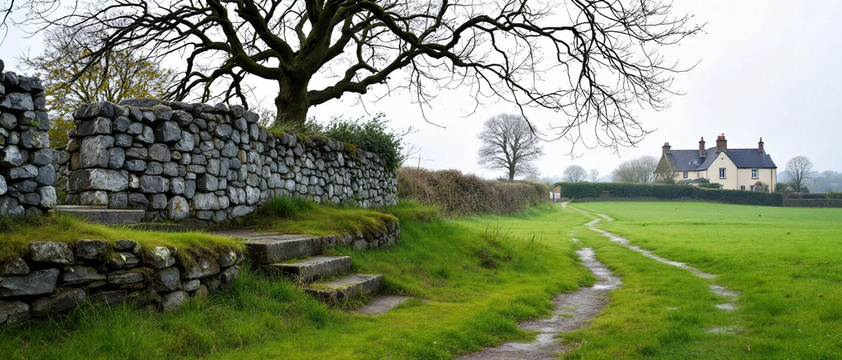Steinstufen eines alten Übertritts in einer Feldsteinmauer unter einem knorrigen Baum, ein Pfad führt über die Wiese zu einem Haus in der Ferne.