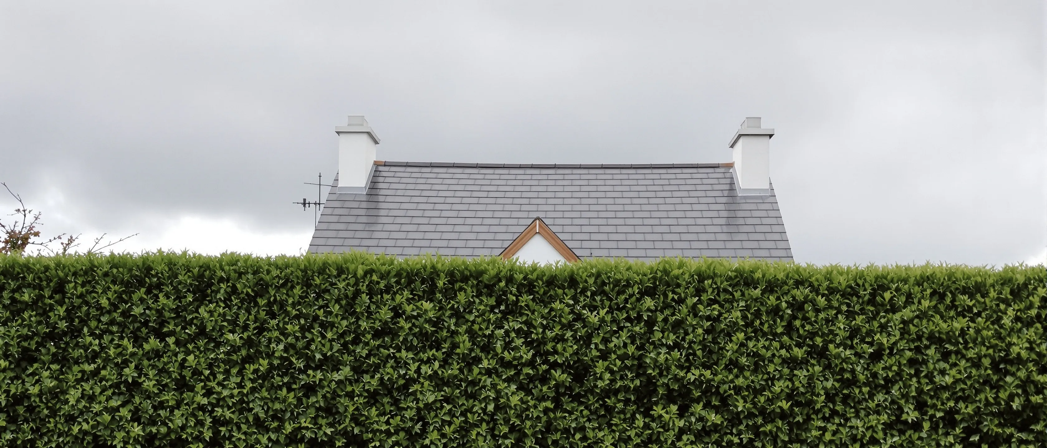 Dach und Schornsteine eines Hauses über einer hohen, durchgehenden Hecke unter bedecktem Himmel.