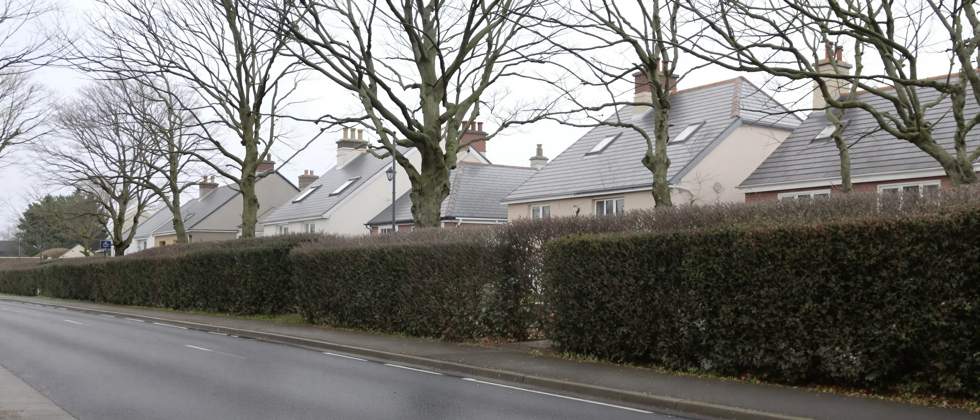 Wohnstraße hinter einer durchgehenden Hecke: Obergeschosse und Schieferdächer von Doppelhäusern, kahle Bäume, nasser Gehweg.