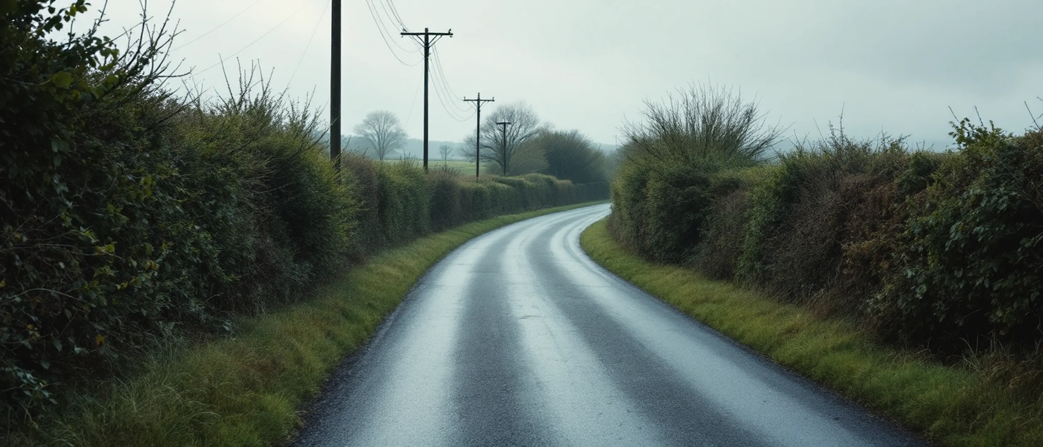 Ein Landweg zwischen hohen Hecken, der aus dem Bild kurvt, nasser Asphalt und Telegrafenmasten.