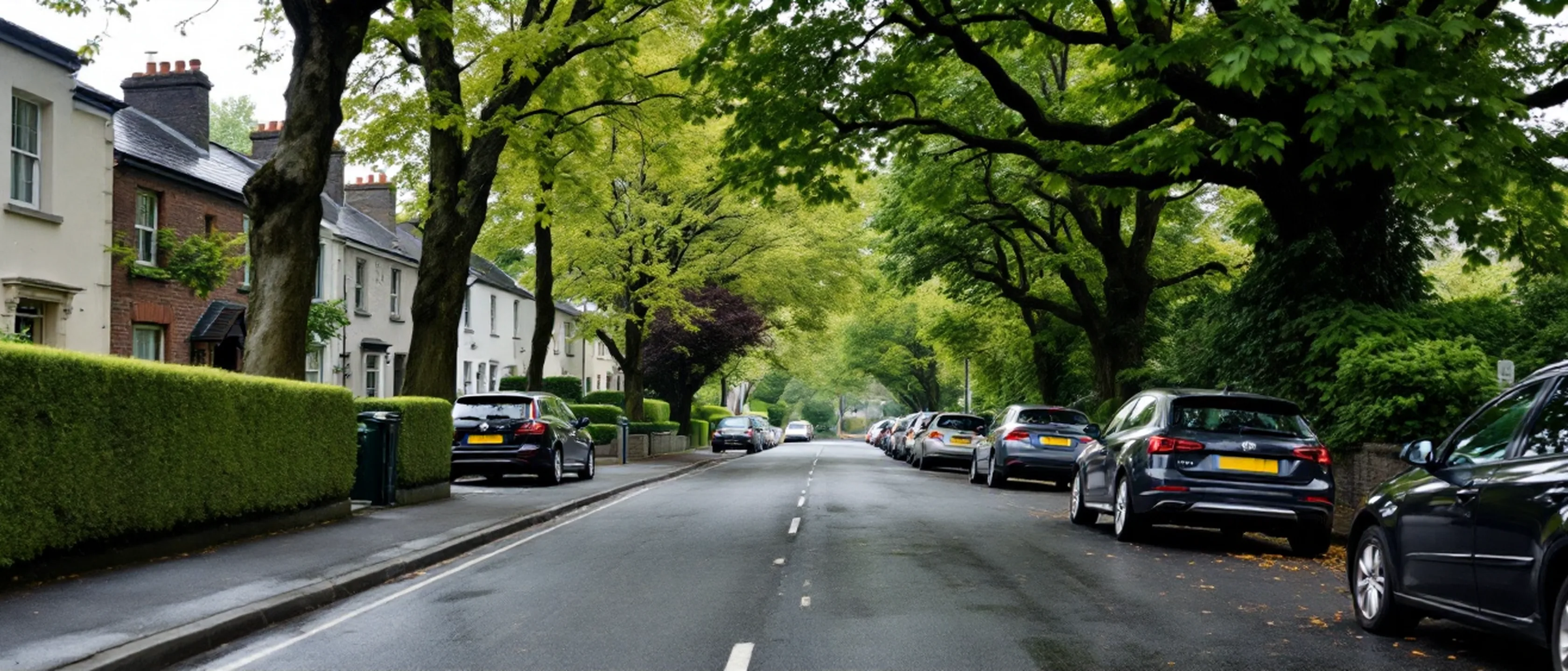 Eine ruhige Wohnstraße mit geschnittenen Hecken, Gartenmauern und Bäumen, die sich über der Fahrbahn treffen.