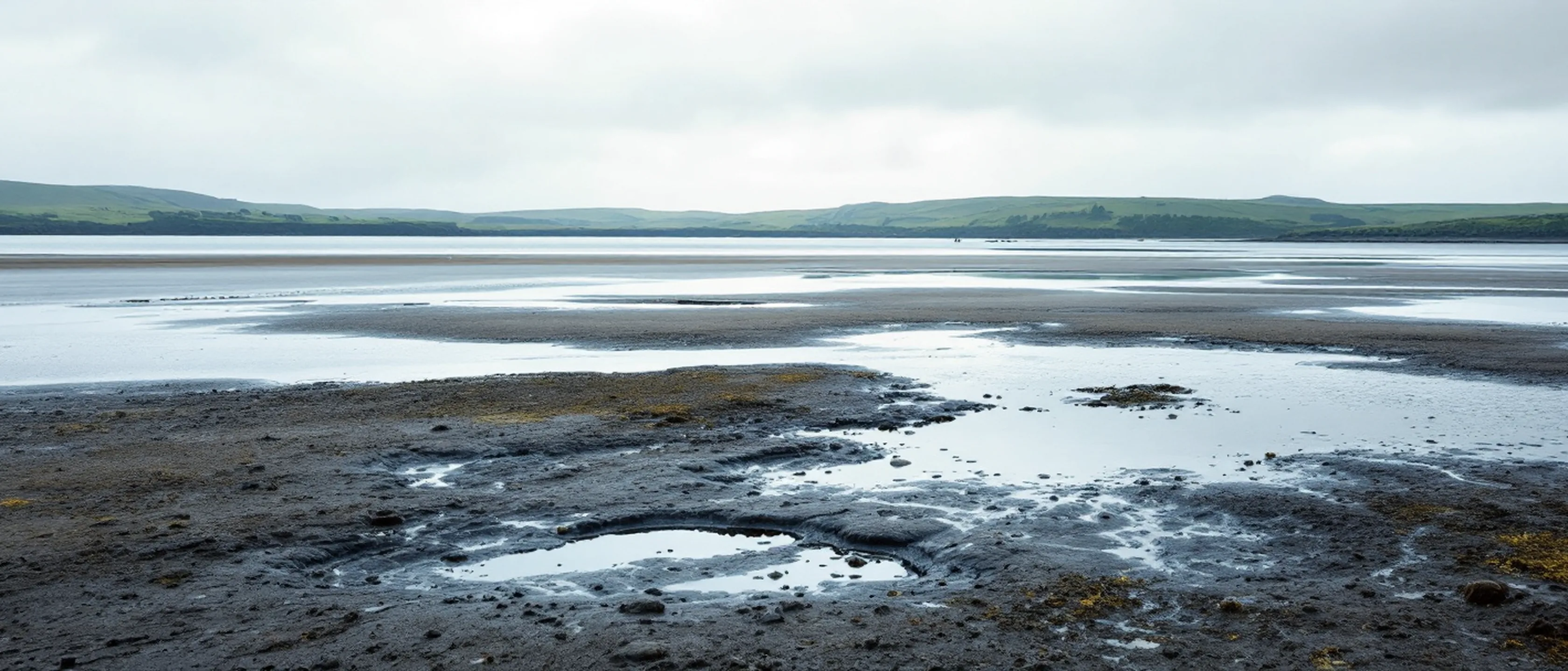 Eine weite, ruhige Bucht bei Niedrigwasser, nasser Sand und flache Priele bis zum Horizont, flaches grünes Land in der Ferne.