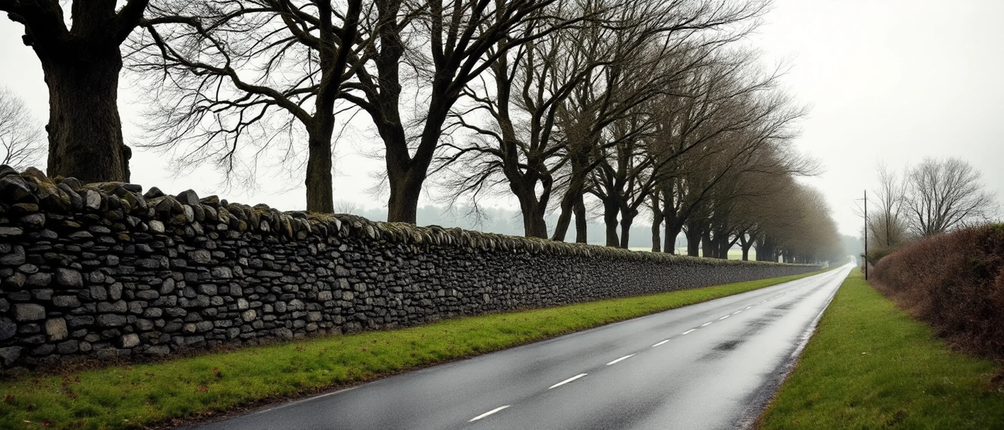 Eine lange Gutsmauer an einer Landstraße unter einer Reihe alter Bergahorne, nasser Asphalt, Grasstreifen.