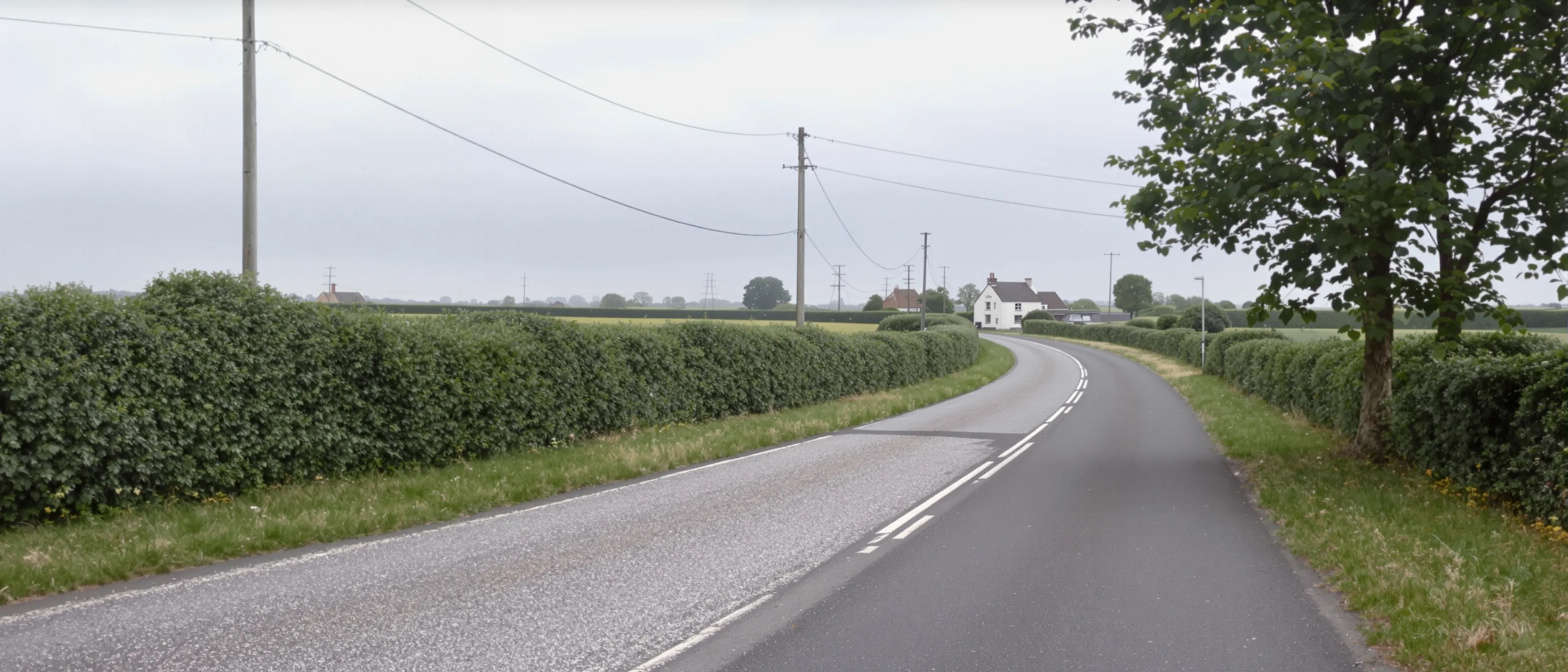 Leere Landstraße in weitem Bogen zwischen Weiden, vorn eine verbreiterte Schotterbank als Haltebucht, ein Hof in der Ferne.